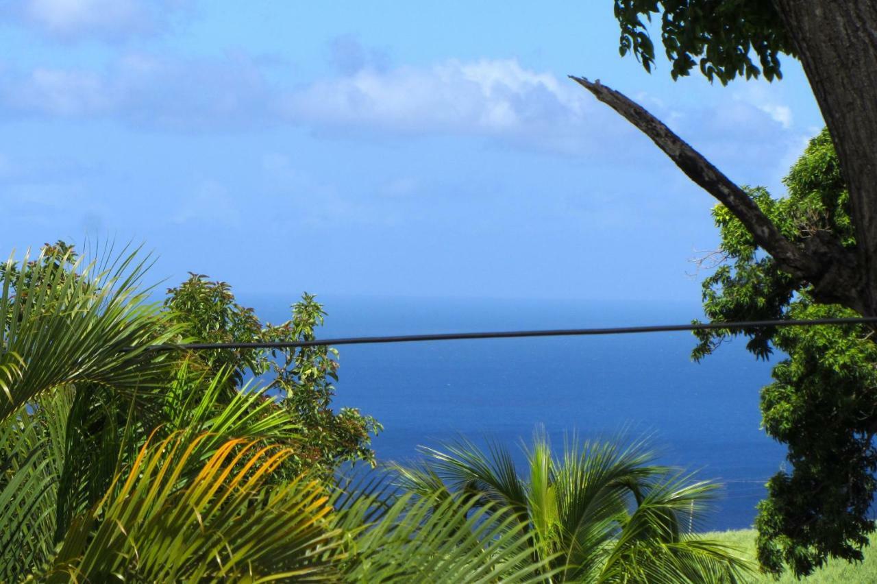 Or Bleu-Bungalow Volcan Soufriere-Vue Sur Mer Saint-Claude Eksteriør bilde