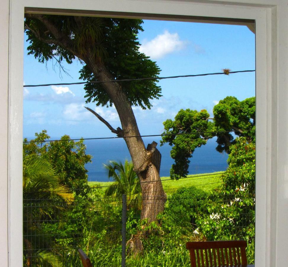 Or Bleu-Bungalow Volcan Soufriere-Vue Sur Mer Saint-Claude Eksteriør bilde